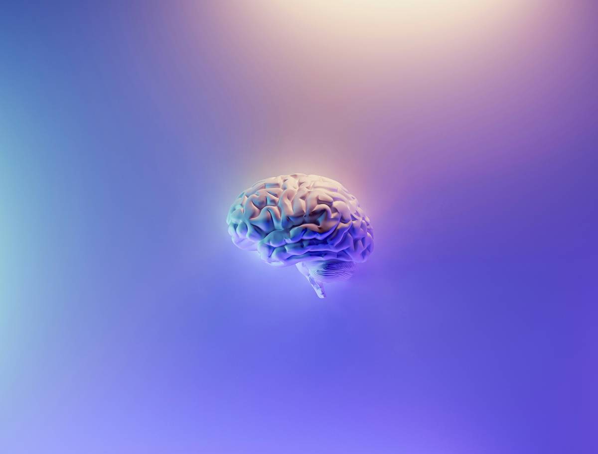 Chart showing brainwave states: beta (awake), alpha (relaxed), theta (hypnotic/dreaming), delta (deep sleep). Theta state highlighted as optimal for subconscious reprogramming.